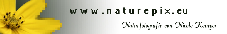 www.naturepix.eu